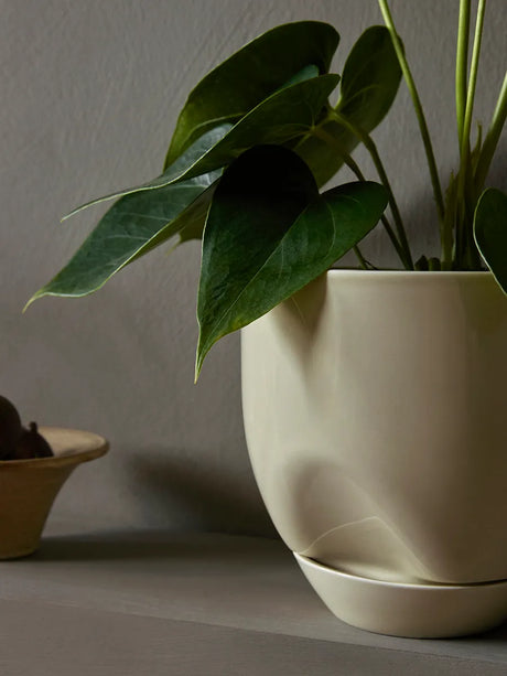 Hydrous Planter, aschen in Ø 20 cm von Audo Copenhagen - 2 - Jacobsen Plus