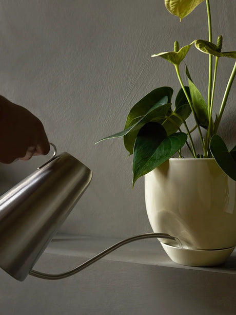 Hydrous Planter, aschen in Ø 20 cm von Audo Copenhagen - 4 - Jacobsen Plus