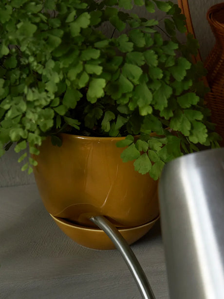 Hydrous Planter, ocker in Ø 12 cm von Audo Copenhagen - 3 - Jacobsen Plus