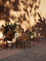 Daiza Planters von Audo Copenhagen - 21 - Jacobsen Plus