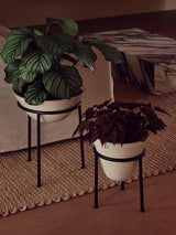 Daiza Planters von Audo Copenhagen - 17 - Jacobsen Plus