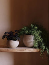 Plantas Planter fra Audo Copenhagen - 3 - Jacobsen Plus