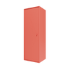 Rhubarb