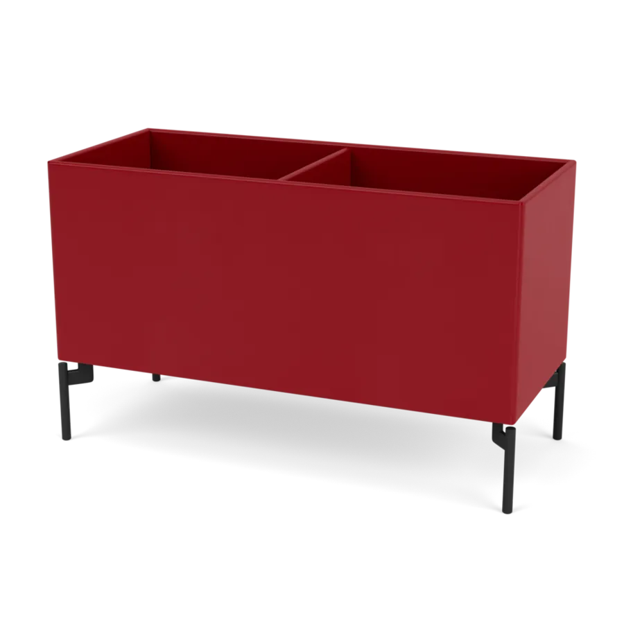  - Beetroot / Black - Jacobsen Plus