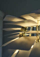  - 29 - Jacobsen Plus