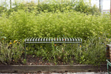  - 21 - Jacobsen Plus