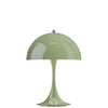 Opaque Moss Green