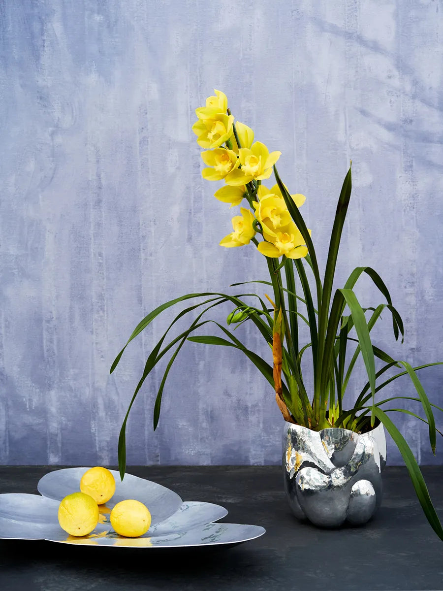 Cloud Vessel fra Tom Dixon