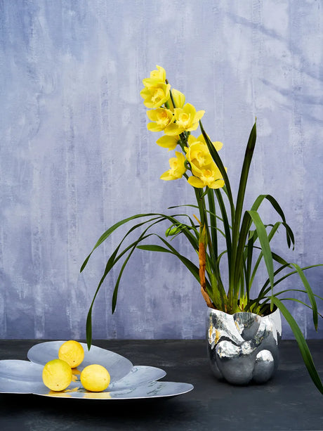 Cloud Vessel von Tom Dixon - Small - Jacobsen Plus