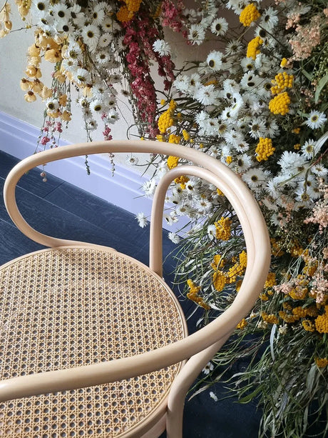209 Armstuhl, Buche von Thonet - 3 - Jacobsen Plus