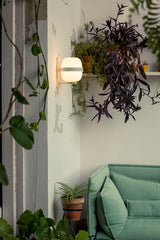  - 22 - Jacobsen Plus