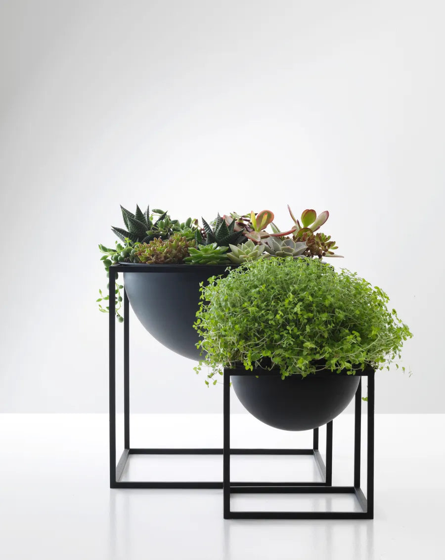  - 5 - Jacobsen Plus