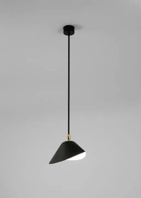 Ceiling Lamp Bookshelves af Serge Mouille - 2 - Jacobsen Plus