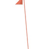 Electric Orange