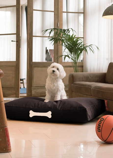 Doggielounge L Canvas Recycled - Hundekorb von Fatboy - 1 - Jacobsen Plus