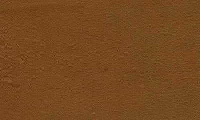 Nevada - Cognac