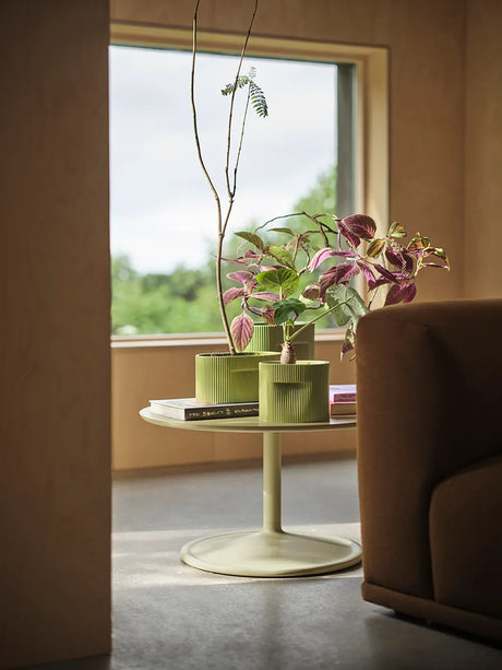 Ridge Planter, Beige von Muuto - H 13 cm - Jacobsen Plus
