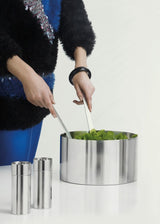 Arne Jacobsen Salatbesteck von Stelton - 2 - Jacobsen Plus